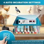 36 Egg Incubator with Automatic Turning and Humidity Control