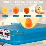 36 Egg Incubator with Automatic Turning and Humidity Control