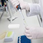 500pcs Chromatography Paper Strips for Experiments