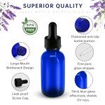 12 Pack 1 oz Blue Dropper Bottles with Glass Dropper