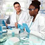 500pcs Filter Paper Strips for Chemistry Labs