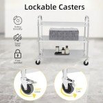 Stainless Steel Rolling Lab Utility Cart - 220 lbs