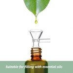 6PCS Heat-Resistant Borosilicate Glass Funnels