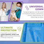 Blue Disposable Isolation Gown Pack of 10, Large