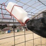 FarmTek 2 Quart Nursing Bottle Holder