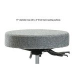 Height Adjustable Doctor's Stool with Back - Gray