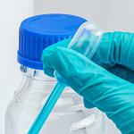 Large Bulb LDPE Transfer Pipets - Box of 400