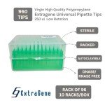 Extragene 200 µl Sterile Pipette Tips, 10 Packs