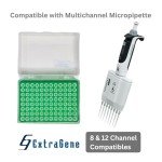 Extragene 200 µl Sterile Pipette Tips, 10 Packs