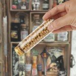 50 Pack Clear Plastic Test Tubes with Caps