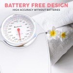 Adamson A24 High Precision Bathroom Scales - 350 LB