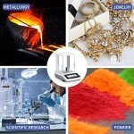 LACHOI High Precision Digital Lab Balance Scale