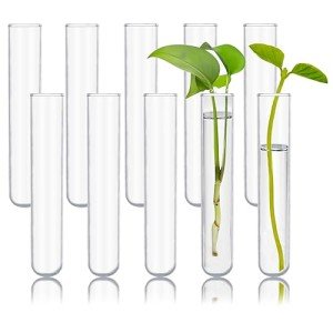 HUAOU 10pcs 60ml Borosilicate Glass Test Tubes