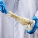 Erlenmeyer Flask Cleaning Brushes, 2-Pack 35cm