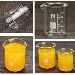 ZEEROQOLAB 5-Piece Glass Beaker Set with Accessories