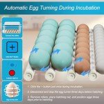 36-Egg Automatic Incubator with Humidity Control