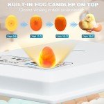 36-Egg Automatic Incubator with Humidity Control