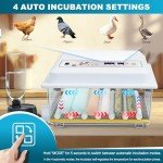 36-Egg Automatic Incubator with Humidity Control