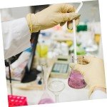 4pcs Glass Cell Spreader Bars for Lab Experiments