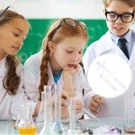 Baluue 10ml Glass Tissue Grinder Set for Labs