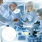 Baluue 10ml Glass Tissue Grinder Set for Labs