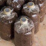 64 Pcs Synthetic Filter Paper & Rubber Stoppers