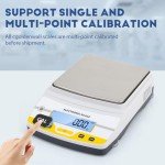 5000g Precision Lab Scale with Chargeable Battery