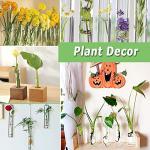 18 Pack Clear Plastic Test Tubes with Caps