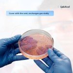 Clear Petri Dishes with Lid - 100 Pack