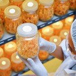 PTFE Filter Discs for Mushroom Cultivation (24pcs)