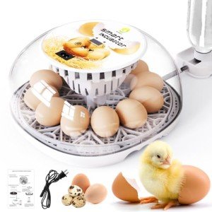 12-Egg Incubator with Automatic Turning and Humidity Control