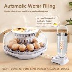 12-Egg Incubator with Automatic Turning and Humidity Control