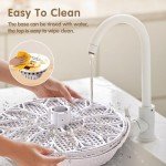 12-Egg Incubator with Automatic Turning and Humidity Control