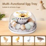 12-Egg Incubator with Automatic Turning and Humidity Control