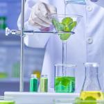 Stainless Steel Retort Support Ring Clamp 140mm