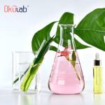 Okulab 3000ml Glass Erlenmeyer Flask Set