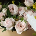 KIGITIK 3-Pack 500ml Plastic Squeeze Wash Bottles