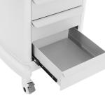 Portable 3-Drawer Mobile Lab Trolley with Wheels