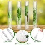 Clear 10-Pack Test Tubes for Plant Propagation