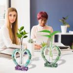 Clear 10-Pack Test Tubes for Plant Propagation