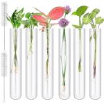 6Pcs 100ml Glass Test Tubes for Plant Propagation