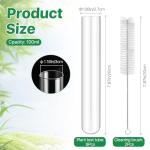 6Pcs 100ml Glass Test Tubes for Plant Propagation