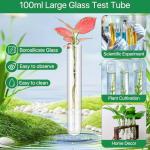 6Pcs 100ml Glass Test Tubes for Plant Propagation