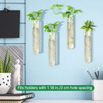 6Pcs 100ml Glass Test Tubes for Plant Propagation