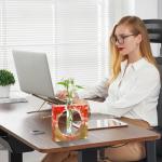 6Pcs 100ml Glass Test Tubes for Plant Propagation