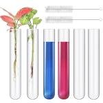 Akamino 6-Pack Large 100ml Glass Test Tubes