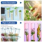 Akamino 6-Pack Large 100ml Glass Test Tubes