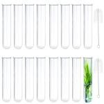 16-Pack Clear Glass Test Tubes for Plant Propagation