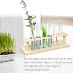 16-Pack Clear Glass Test Tubes for Plant Propagation