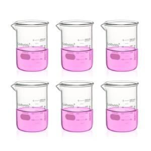 Heavy Duty Glass Beakers Set - 6 pcs 250ml